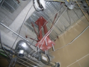 img026.jpg
