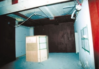 koji-1.jpg