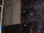 img006.jpg
