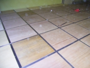 img016.jpg