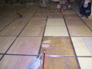 img017.jpg