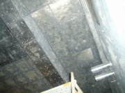 img047.jpg