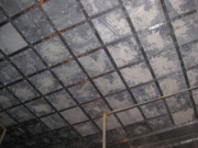 img051.jpg